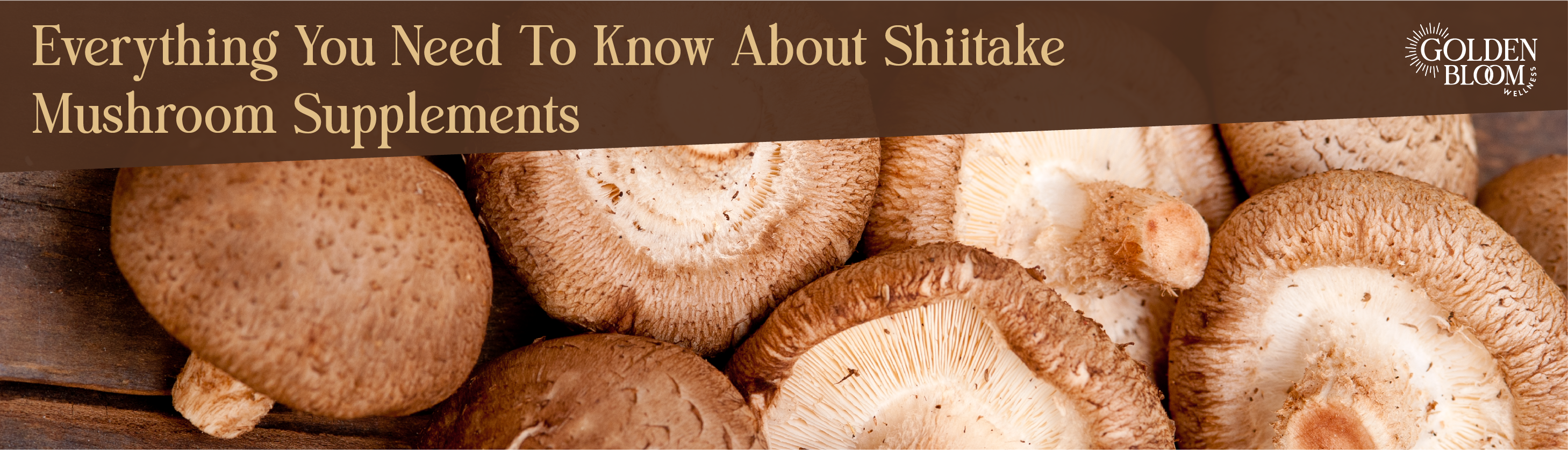 Shiitake Mushroom Banner