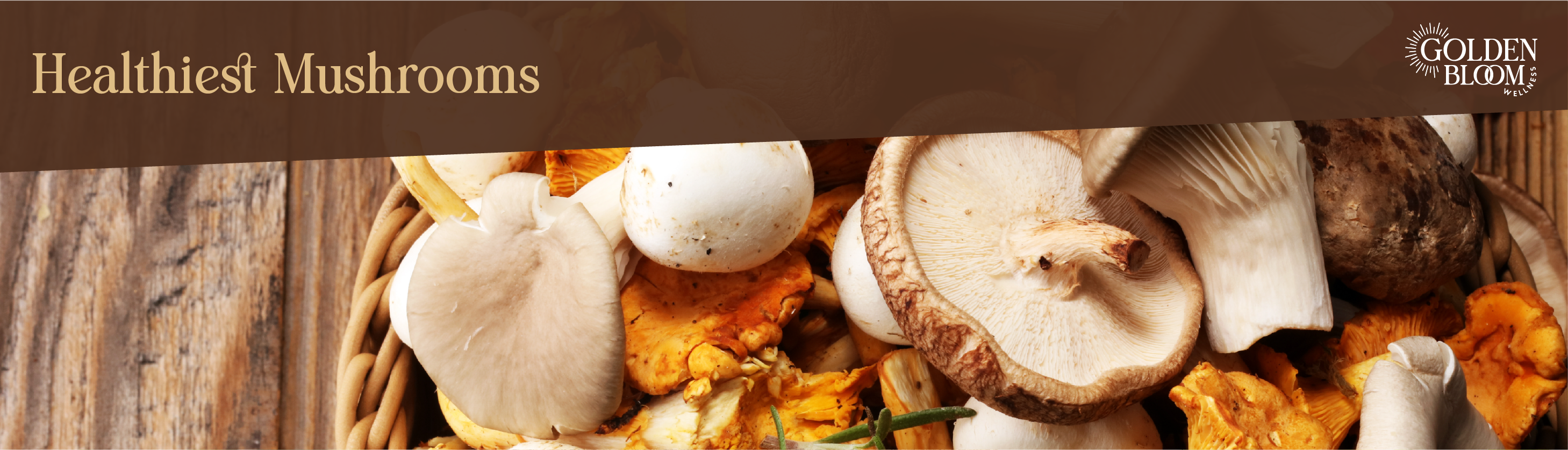 Healthiest Mushroom Featured Image Banner